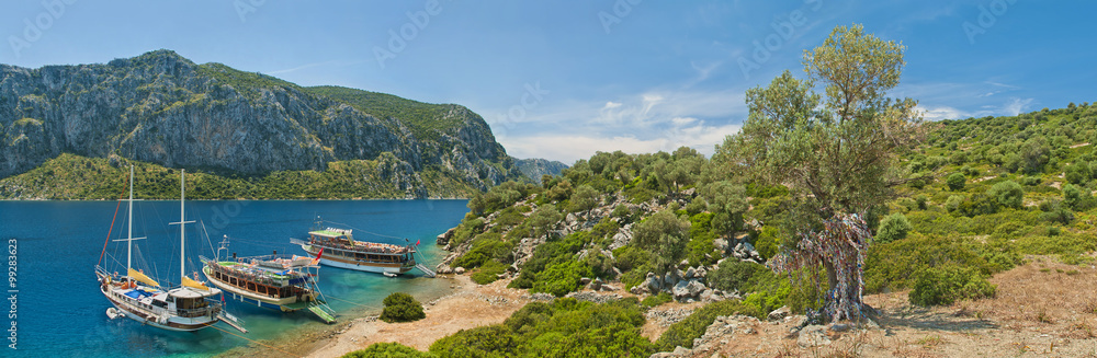 tourist boats at an island with old olive tree