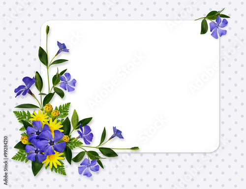 Periwinkle and daisy flower...