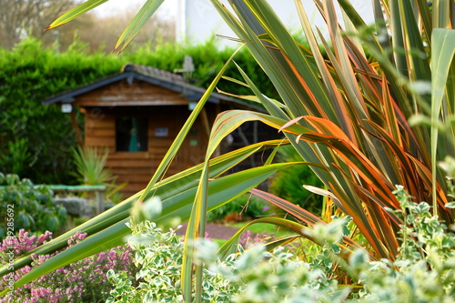 Cabane de jardin