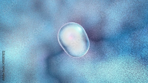 Mitosis.Cellular division under the microscope