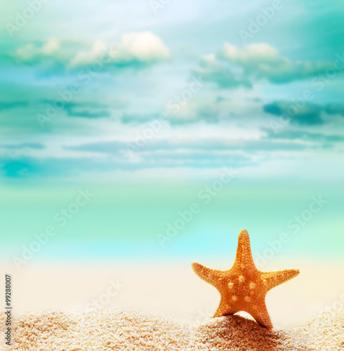 Fototapeta Naklejka Na Ścianę i Meble -  Starfish on the summer beach.