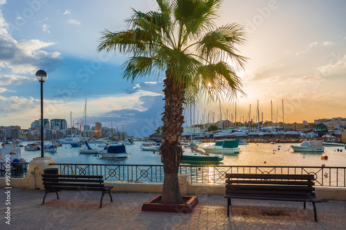 Beautiful sunrise with benches, palm tree and sailboats at Sliema bay, Malta photo