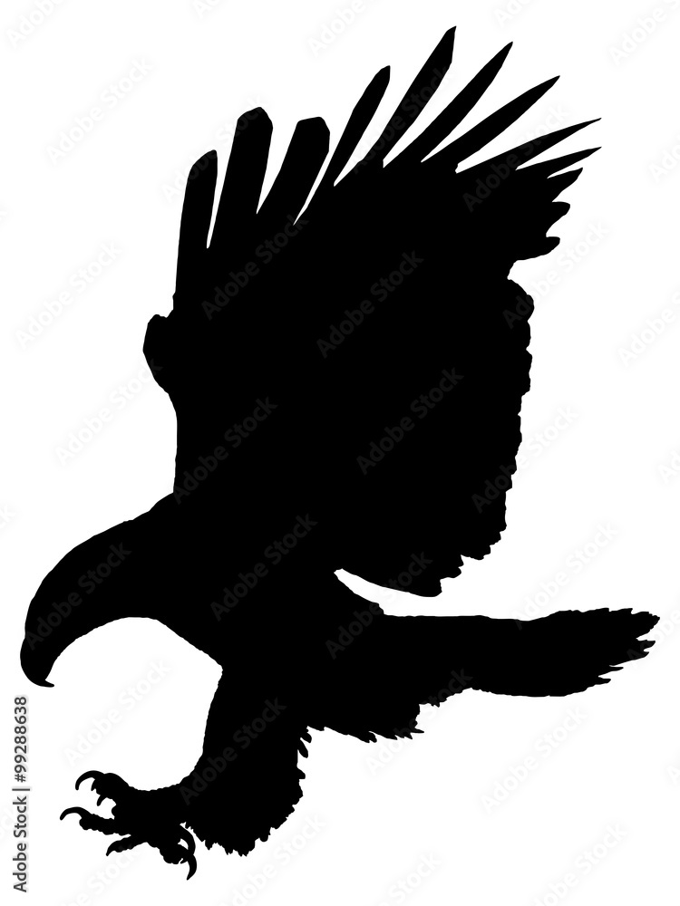 Fototapeta premium Silhouette of an eagle attacking isolated on white background.
