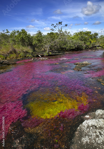 The river Canio Cristales is commonly called the 