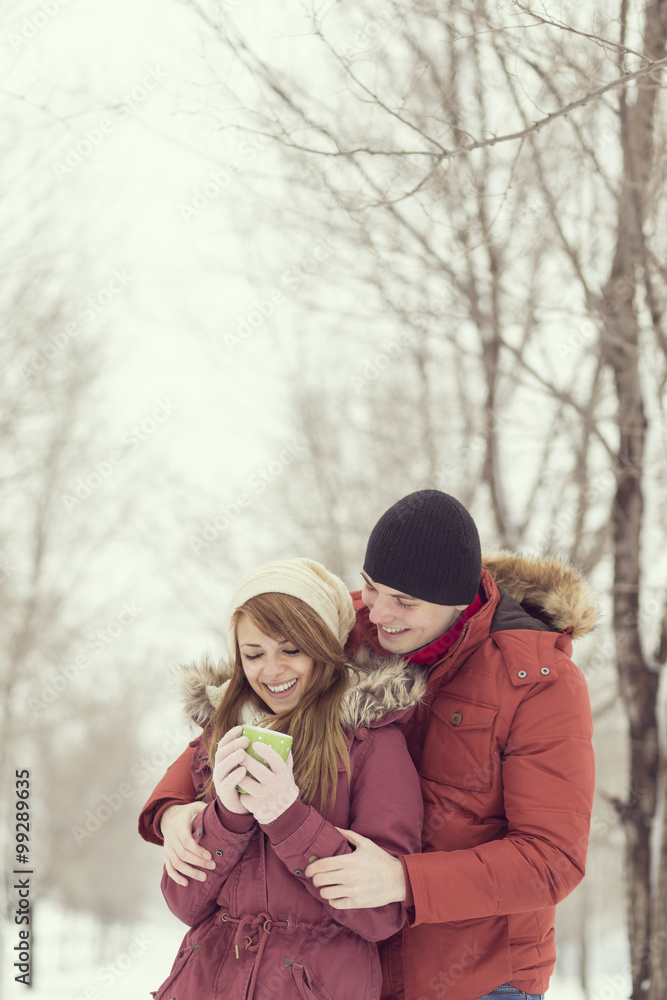 Fototapeta premium Snowy day