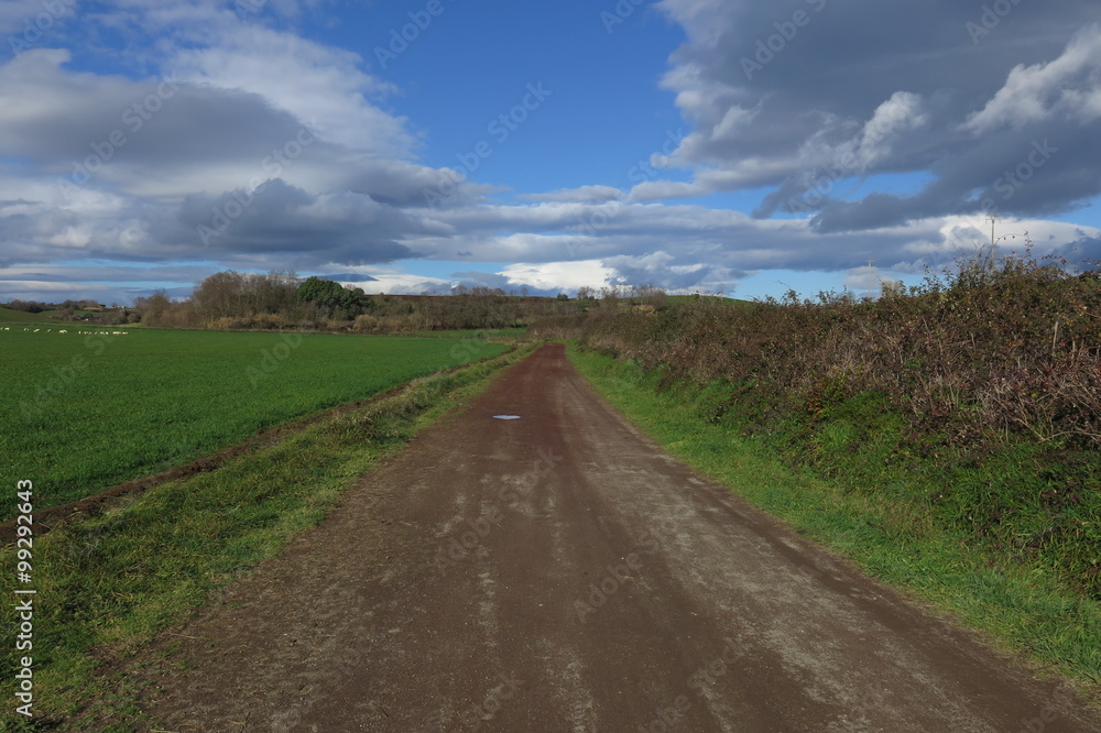 Naklejka premium strada di campagna