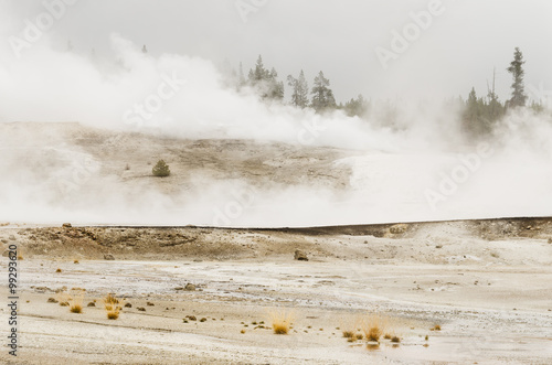 Norris Geyser Basin - Yellowstone National Park - Wyoming - USA