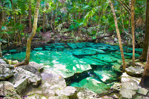 Cenote Azul small lake  in Yucatan, Mexico. photo