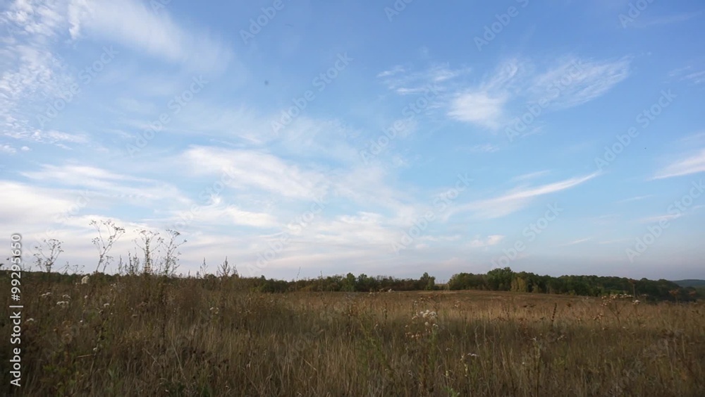Happy Child Playing with an airplane on a meadow
Happy Child Playing with an airplane on a meadow