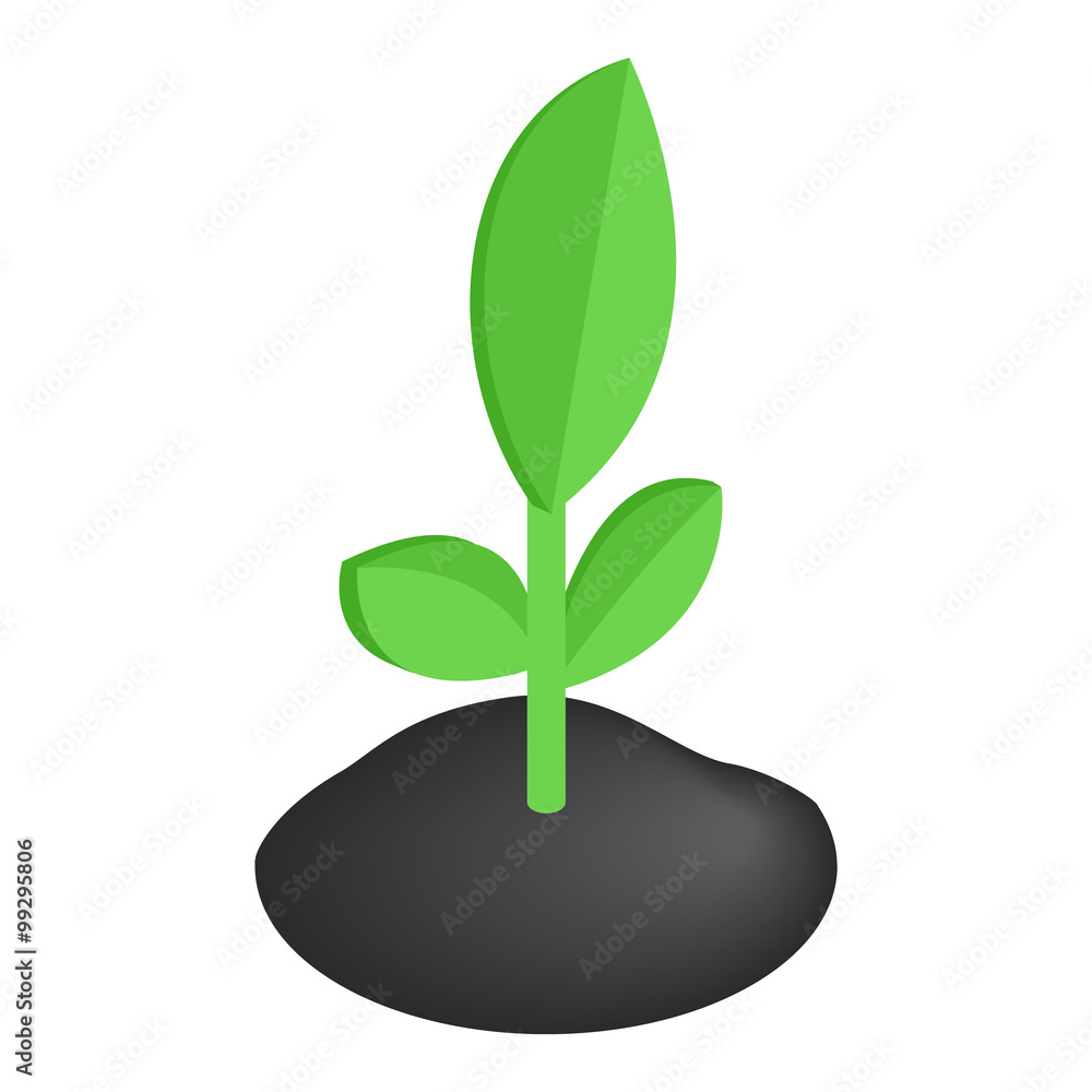 Sprout isometric 3d icon