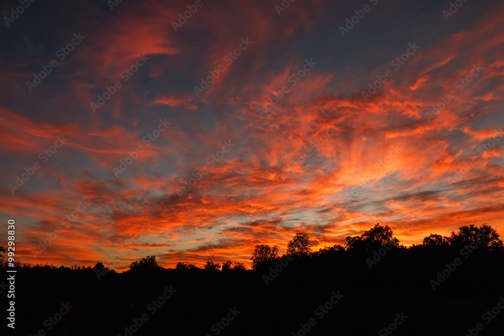Morning Dawn,Cloudscape  red on blue sky with sunrise light on t