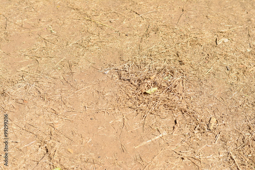 Drought ground