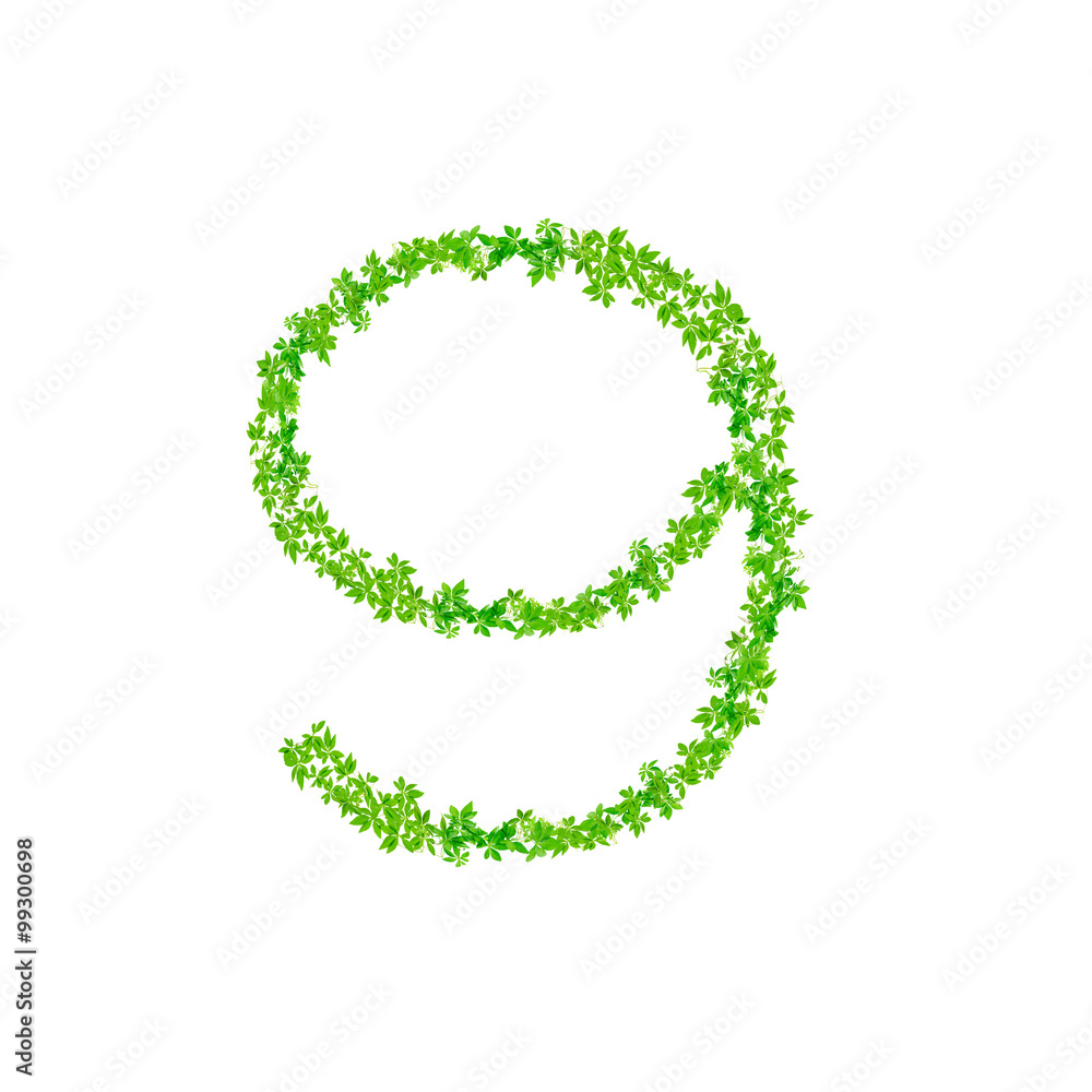 Letter 9, beautiful green leaves isolated on white background,w Letter 9, beautiful green leaves isolated on white background,w