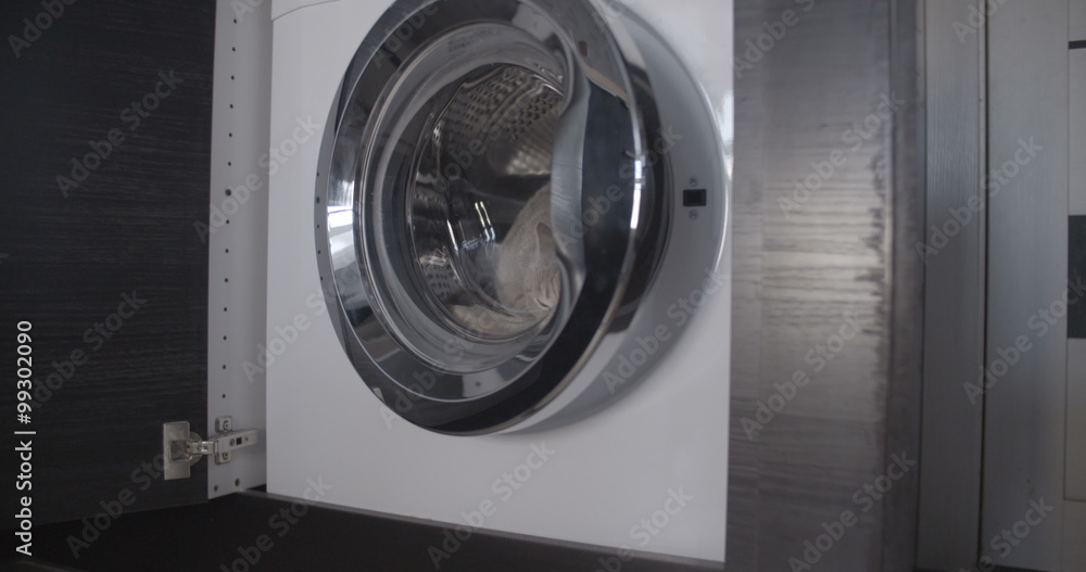 Cat sits and jumps out of the washing machine flat color Cat sits and jumps out of the washing machine flat color