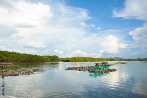 Coop fish of thailand sea