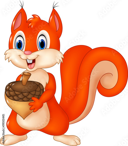 Cartoon funny squirrel holding acorn isolated on white background