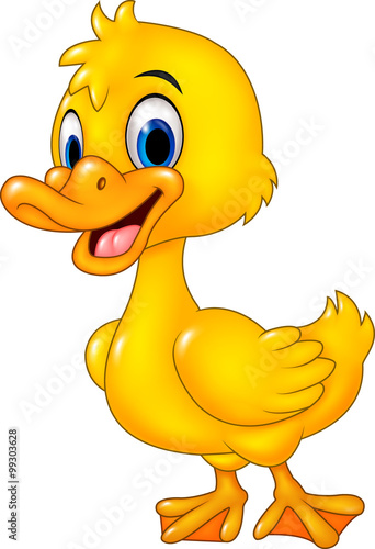 Cartoon funny baby duck posing isolated on white background