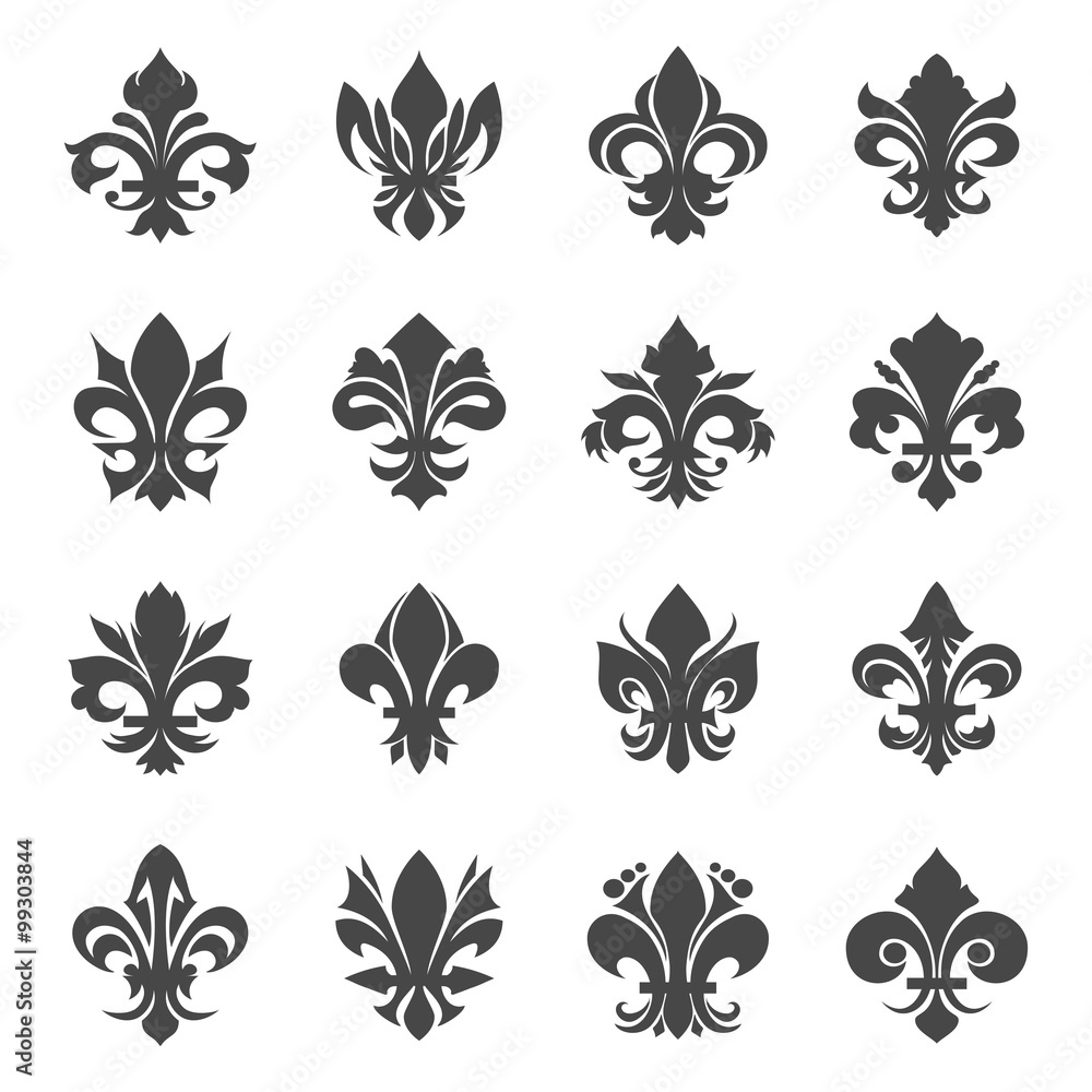 Fototapeta premium French royal lily flowers