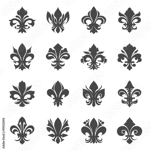 French royal lily flowers