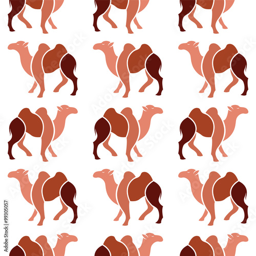 Vector seamless pattern with brown camel  on white background. w