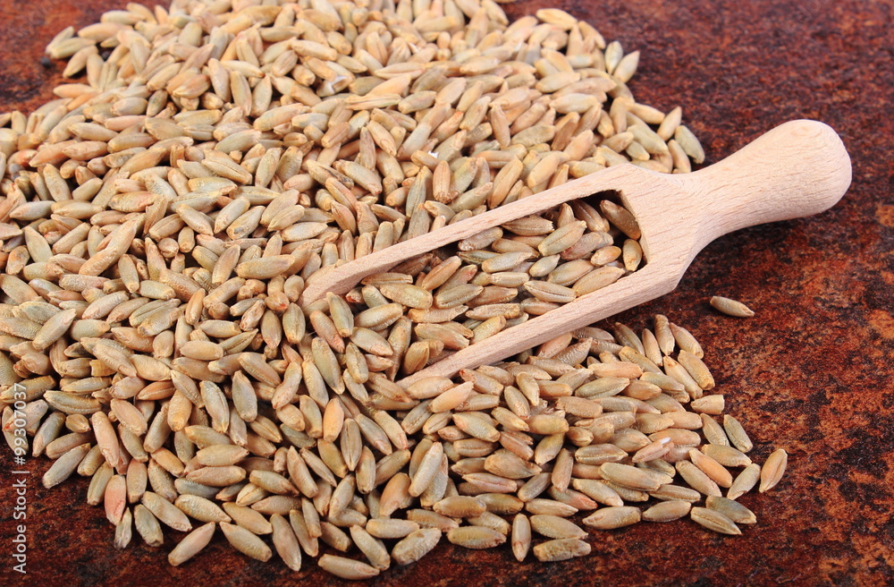 Heap of rye grain with wooden spoon Heap of rye grain with wooden spoon