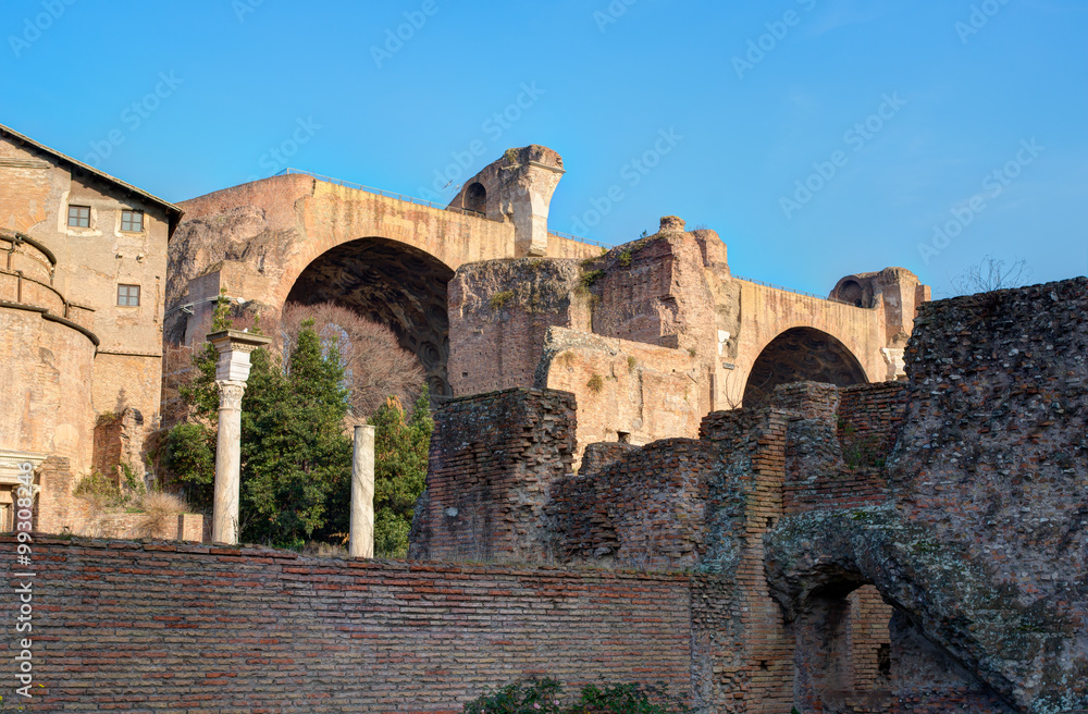 Ruins on the Palatine hill, historical part in Rome, Italy