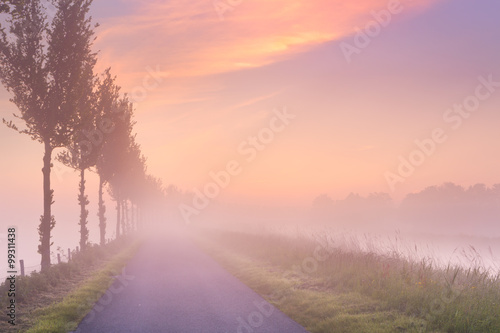 Foggy sunrise in typical polder landscape in The Netherlands