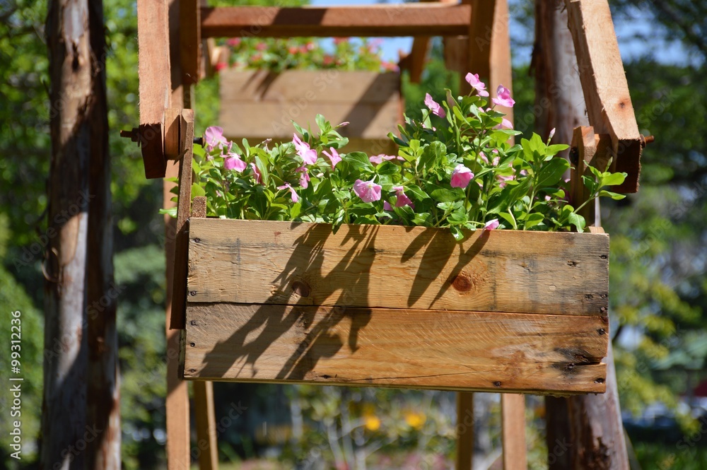 Fototapeta premium pink flower on wooden pot