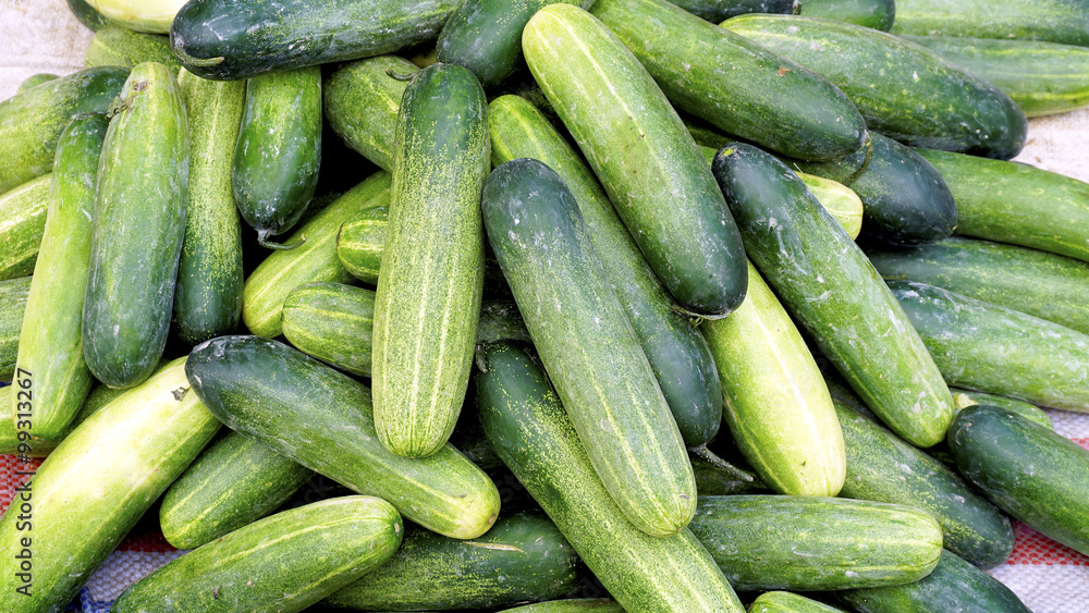 Fresh cucumber organic vegetables in farmer market Fresh cucumber organic vegetables in farmer market