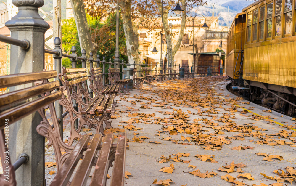 Fototapeta premium Herbst Stimmung