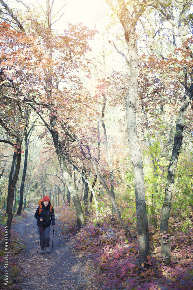 The girl with the backpack walking in the forest.