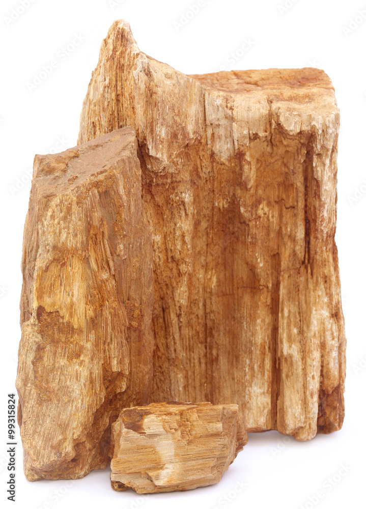 Sedimentary rocks Sedimentary rocks
