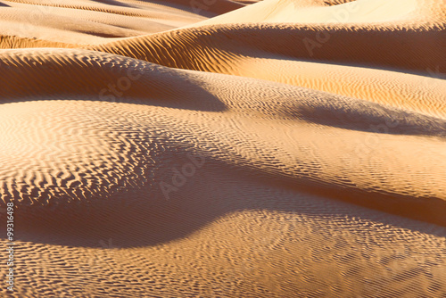 Abstract sand dunes landscape, desert of Sahara, South Tunisia © Delphotostock