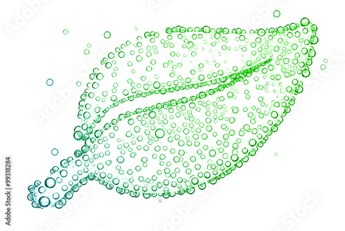 leaf with oxygen bubbles Isolated on white background