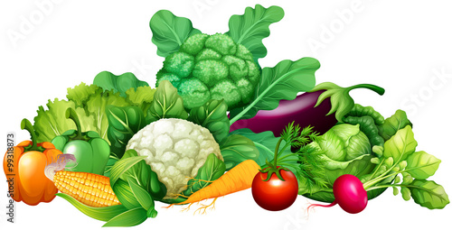 Different kind of vegetables
