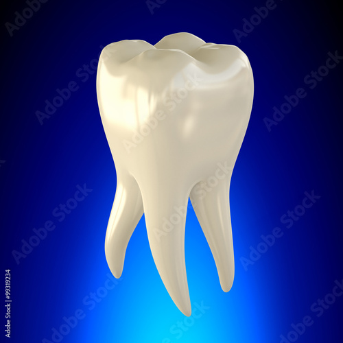 Tooth Molar Healthy