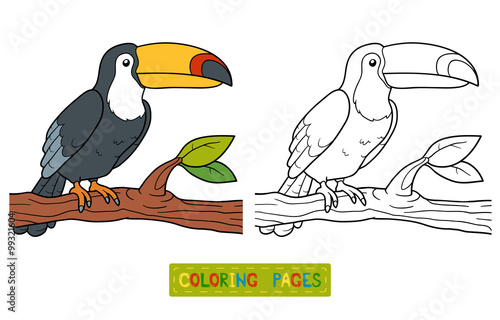 Coloring book (toucan)