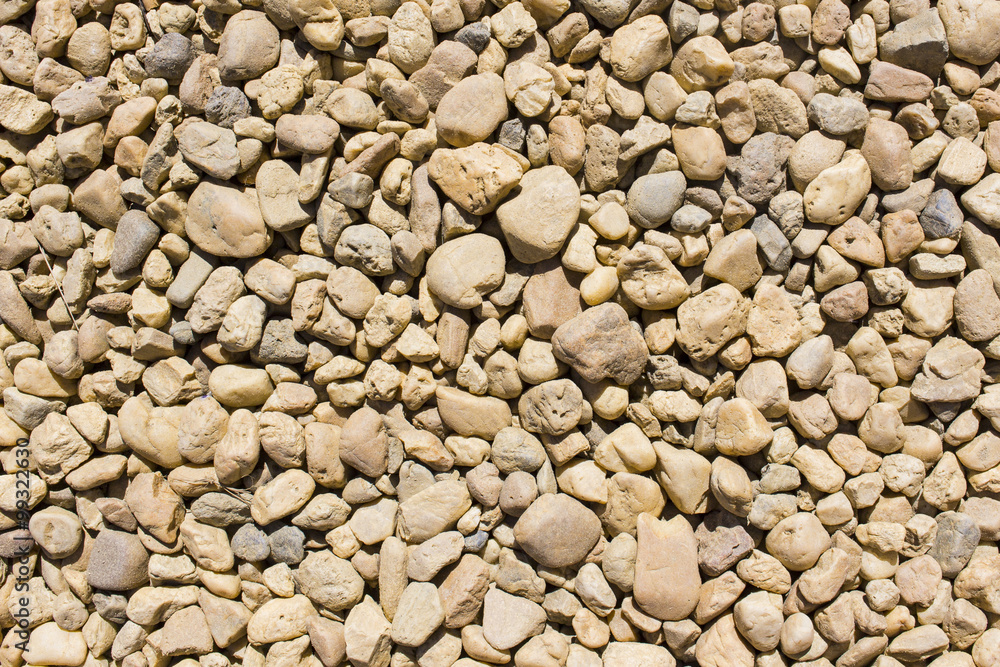 pebbly surface pebbly surface