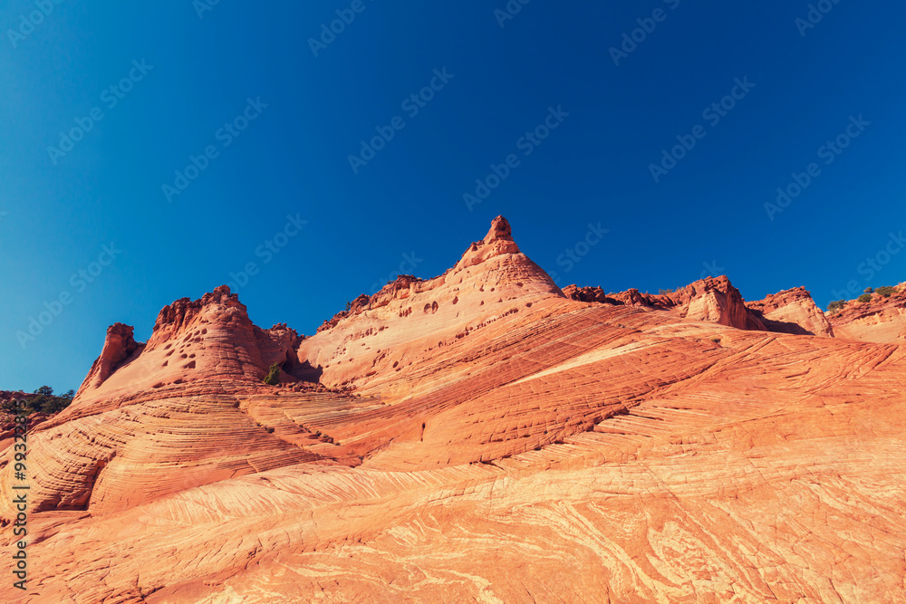 Fototapeta premium Yant flat