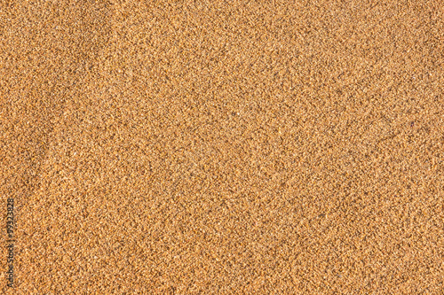 Sandy beach background and detailed sand texture.
