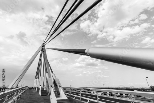 cable-stayed bridge in black and white