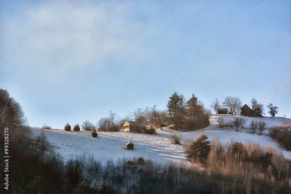 Frozen sunny day of a winter, on wild transylvania hills. Holbav. Romania. Low key, dark background, spot lighting, and rich Old Masters Frozen sunny day of a winter, on wild transylvania hills. Holbav. Romania. Low key, dark background, spot lighting, and rich Old Masters