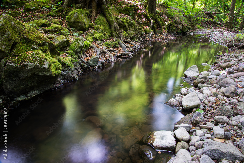 Forest creek Forest creek