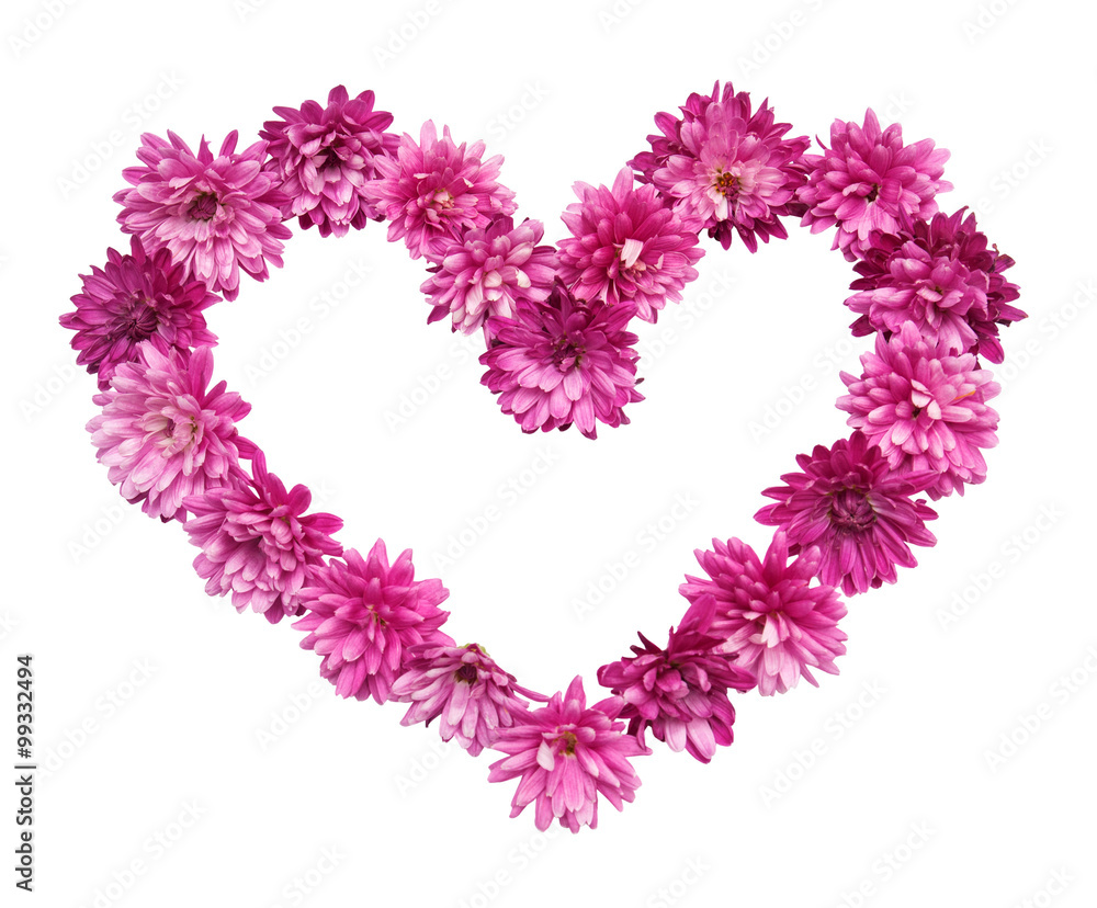 Pink heart from chrysanthemum flowers