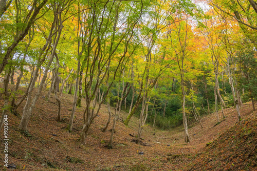 Beautiful autumn at Korankei