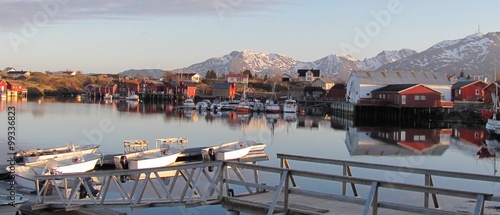 Vega island in Norway
