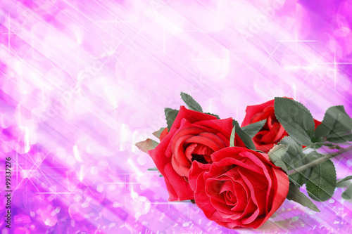 Red roses bouquet with violet bokeh and free space for text vale
