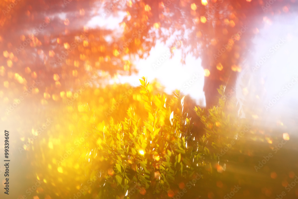 Fototapeta premium blurred abstract photo of light burst and glitter bokeh lights. filtered image and textured. 