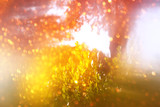 blurred abstract photo of light burst and glitter bokeh lights. filtered image and textured.
