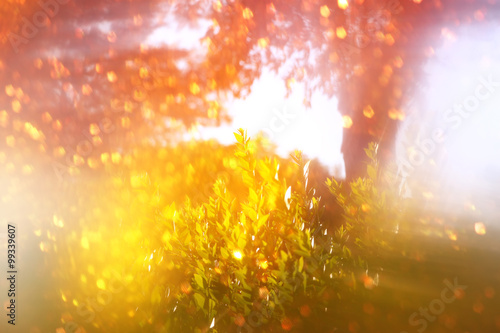 blurred abstract photo of light burst and glitter bokeh lights. filtered image and textured. 